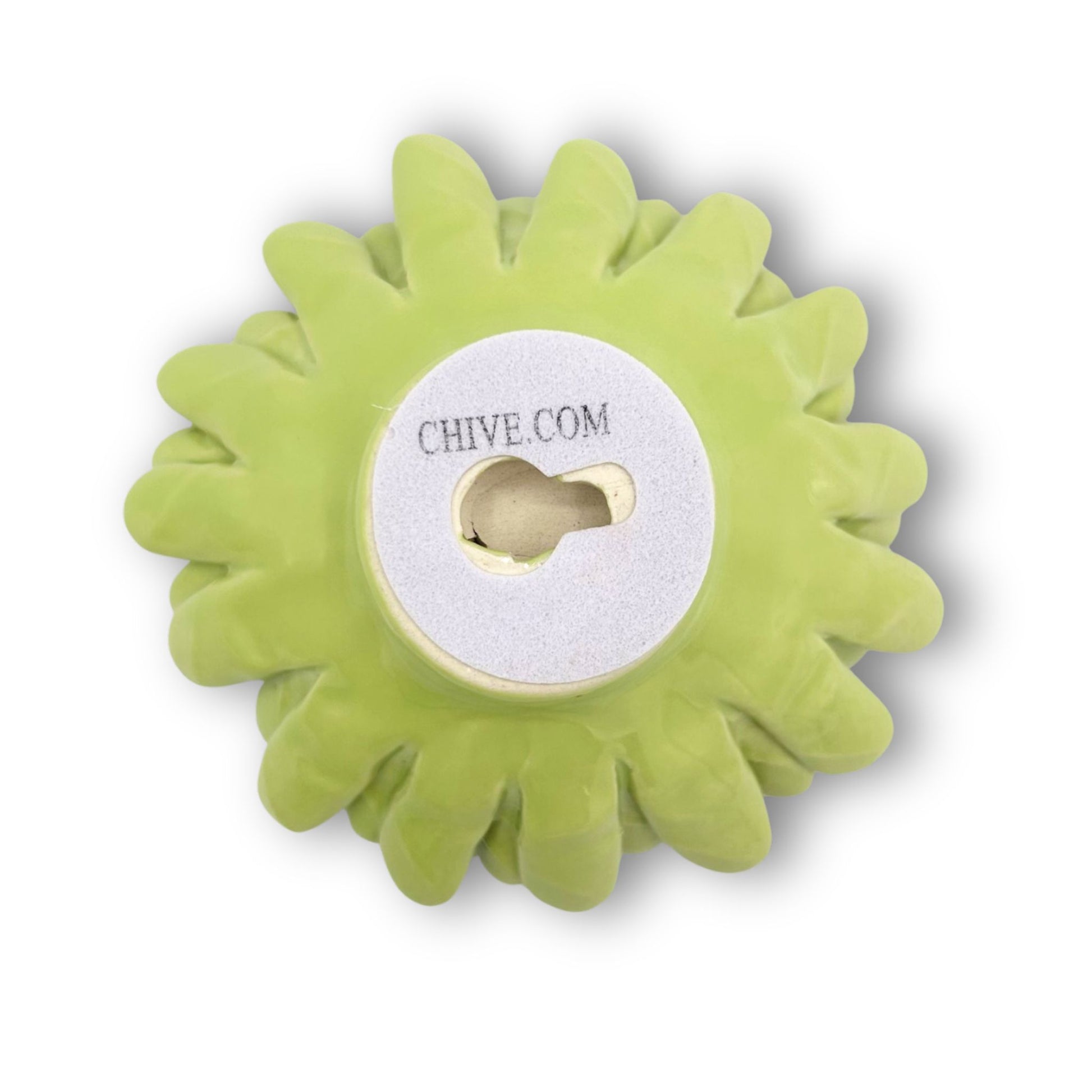 Yellow Green Mum Wall Mounting Floral Bloom