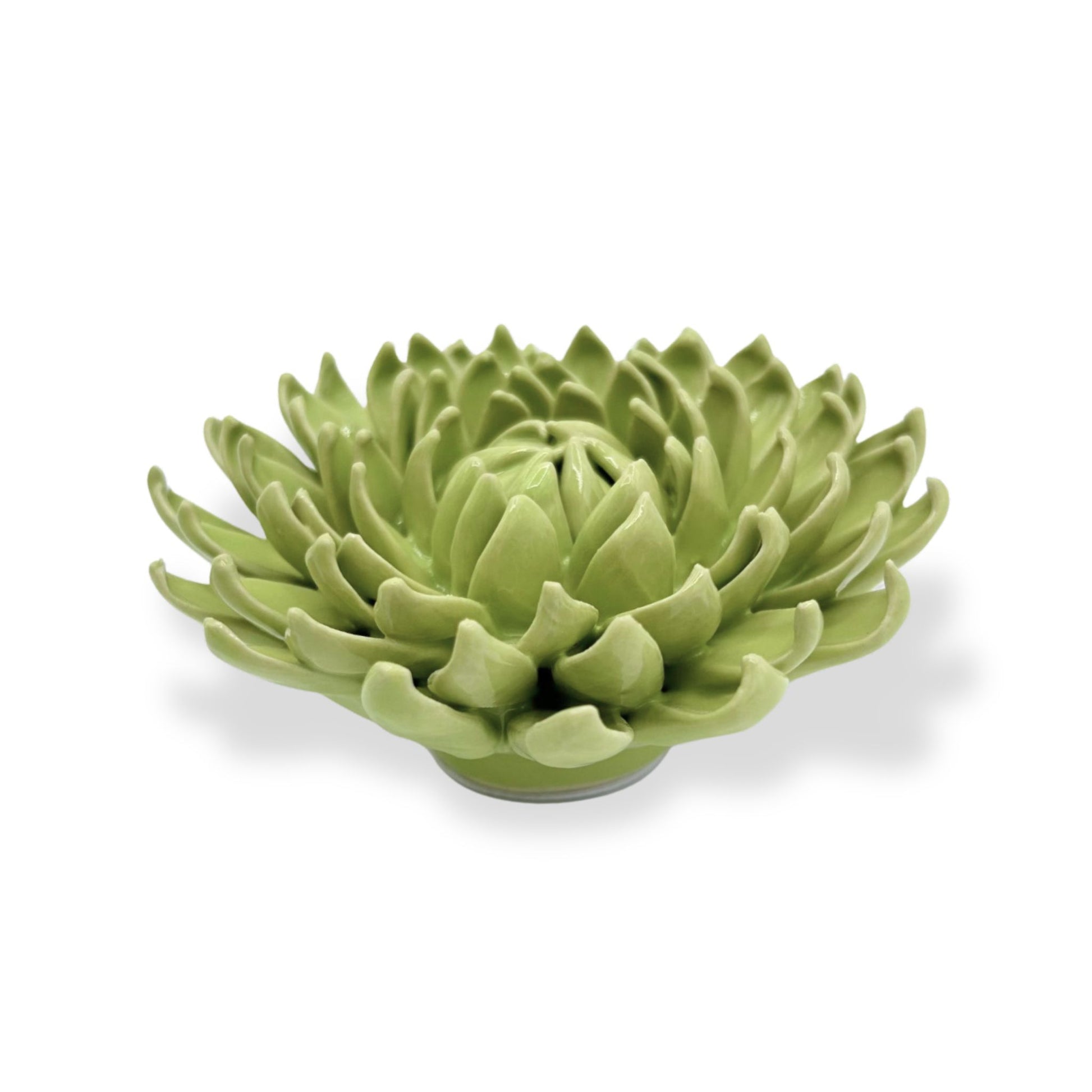 Yellow Green Pom Pom Mum Floral Bloom